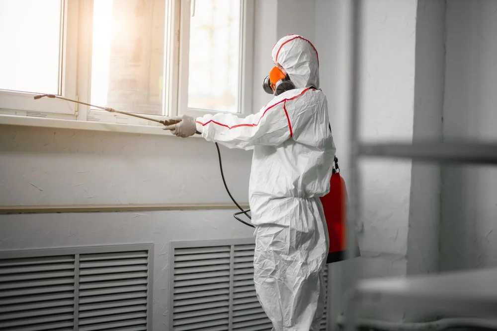 Professional mold remediation services in Mcfarland, WI